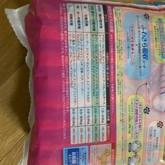 小型犬用　マナーウェアSSサイズの画像