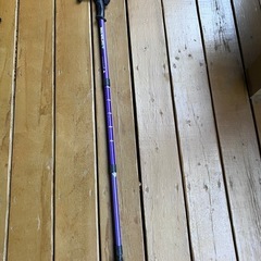トレッキングポールの画像