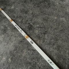 【最終値下】ワカサギ 電動リールの画像