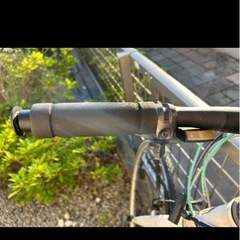 ビアンキ　の画像