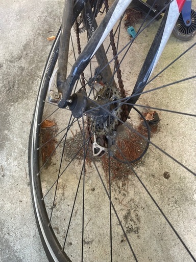 ピナレロロードバイクです