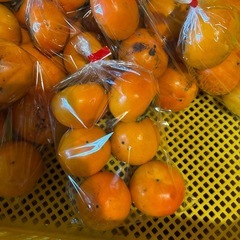 ①久万高原産　富有柿（甘柿）700gの画像