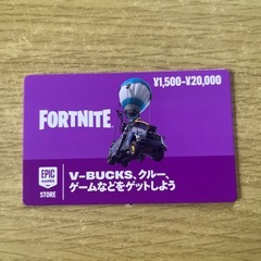 ブイバックスカード