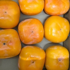 早生みかん1箱の画像