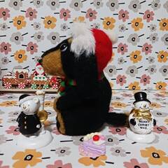 羊毛フェルト サンタ帽子の大き目ダックスちゃん　ケーキ付きの画像