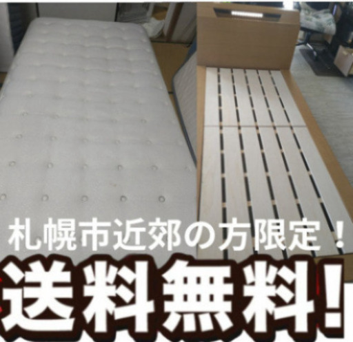 札幌市近郊の方限定！送料無料！シングルすのこベッド コンセント、照明、ニトリ Ｎスリープ プレミアム付き