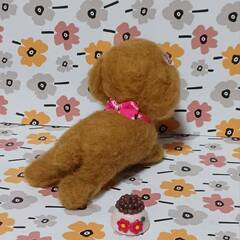 羊毛フェルトトイプーちゃん　　餌付きの画像