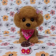 羊毛フェルトトイプーちゃん　　餌付きの画像