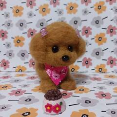 羊毛フェルトトイプーちゃん　　餌付きの画像