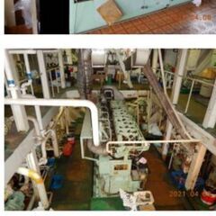 ガット船お探しの方の画像