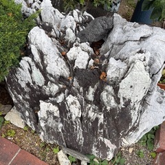 庭石の画像