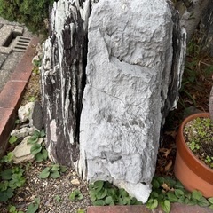 庭石の画像