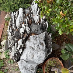 庭石の画像