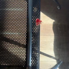 ガラステーブルの画像