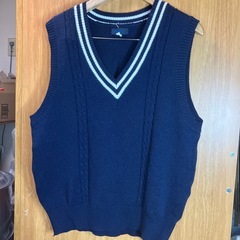 スクールベスト　レディースLの画像