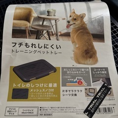 犬用トイレ　未使用の画像