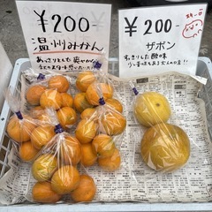 【温州みかん3個】本庄産　野菜　無農薬　販売　まとめ売り　セットの画像