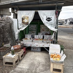 【温州みかん3個】本庄産　野菜　無農薬　販売　まとめ売り　セットの画像