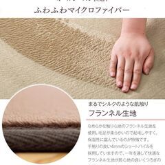 未使用/新品　アウトレット　ラグ 4畳 200×300cm 「くすみ」カラー 洗える ホットカーペット対応 ラグマット カーペット の画像