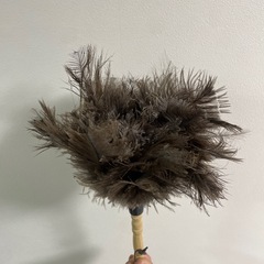 羽根のはたき　羽根モップの画像