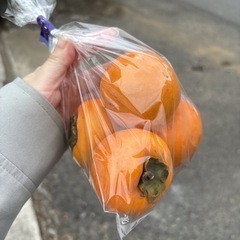  【完売★thankyou】本庄産　野菜　無農薬　販売　まとめ売り　セット　　の画像