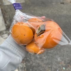  【完売★thankyou】本庄産　野菜　無農薬　販売　まとめ売り　セット　　の画像