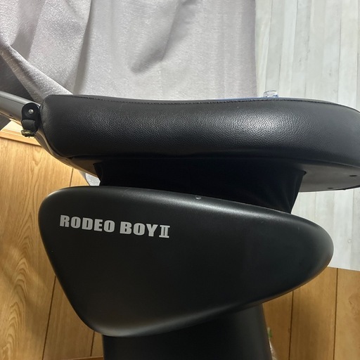 ロデオマシン