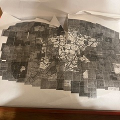 ストレンジャーシングス　NIKE ダンク　26.0の画像