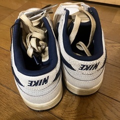 ストレンジャーシングス　NIKE ダンク　26.0の画像