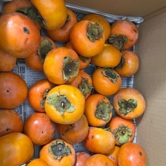 さつまいも　柿　おすそ分けしますの画像