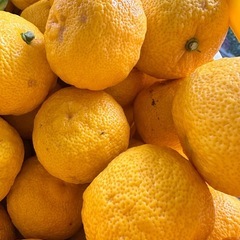 ゆず５個入り200円の画像