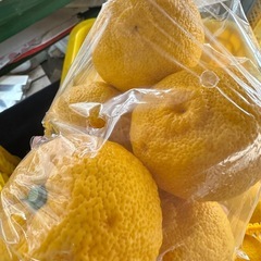 ゆず５個入り200円の画像