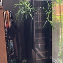 ✳︎中古品✳︎ワインセラーの画像