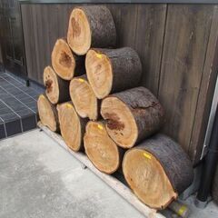 丸太・天然木『 桜 / 希少・西洋実桜 』の広葉樹 NO3 圧巻 の画像