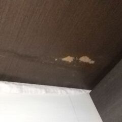 大型収納 キッチン 食費庫等の画像