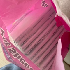 受け渡し者
決定　 ペットシート　ワイドの画像