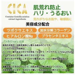 EV CICA Moisture Essence シカ モイスチャー エッセンスの画像