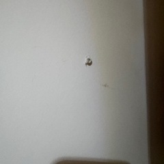 IKEA　TROFASTの画像