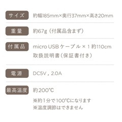 BEAUTY CAG02 CANDY USB ヘアアイロン ミントグリーン 美品の画像