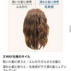 LUX プレミアム ボタニフィーク ナチュラルアレンジ 2WAYアレンジオイルの画像