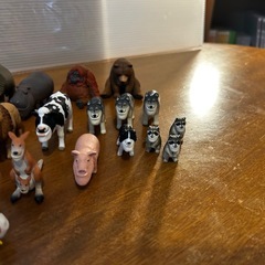 シャクレ動物の画像