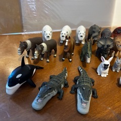 シャクレ動物の画像