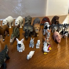 シャクレ動物の画像