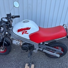 ホンモンキーR モンキーRTの画像