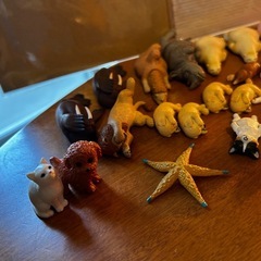 寝転び動物の画像