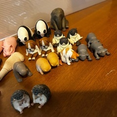 寝転び動物の画像