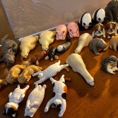 寝転び動物の画像