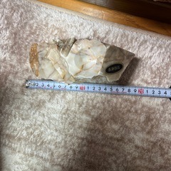 置物　石　鑑賞石の画像