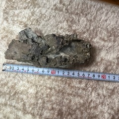 置物　石　鑑賞石の画像