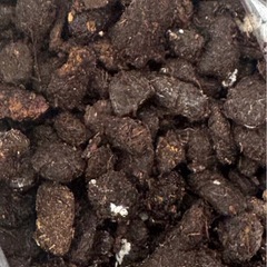 カブトムシの幼虫のフンの画像